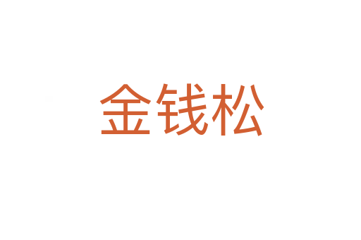 金钱松