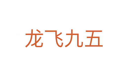 龙飞九五