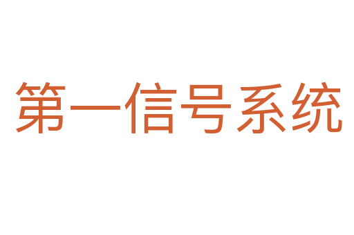 第一信号系统