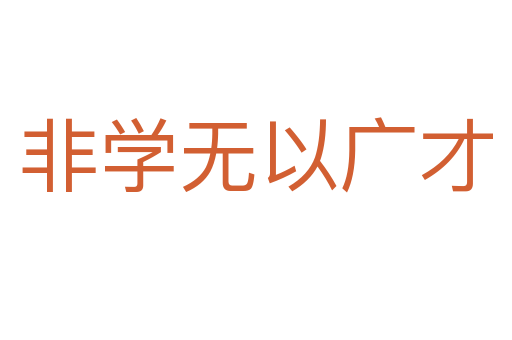 非学无以广才