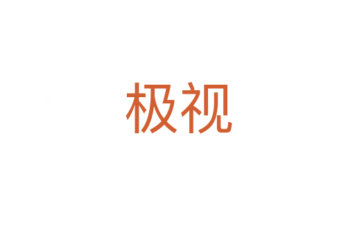 极视