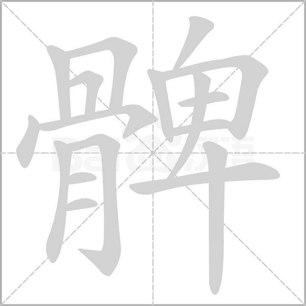 髀的笔顺动画演示